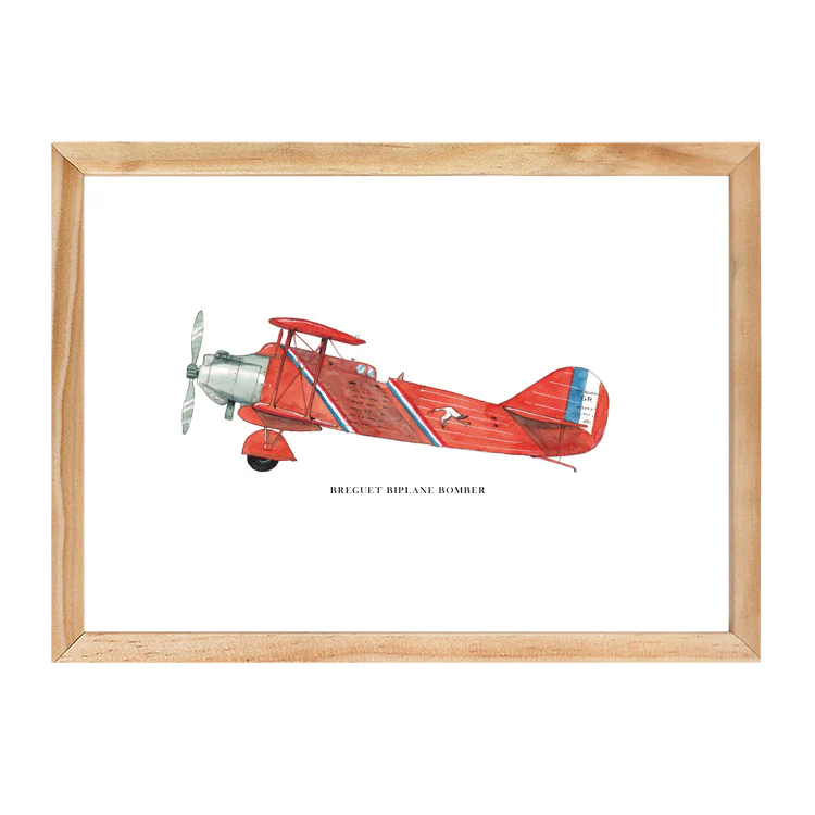 BREGUET AEROPLANE PRINT - Image 12