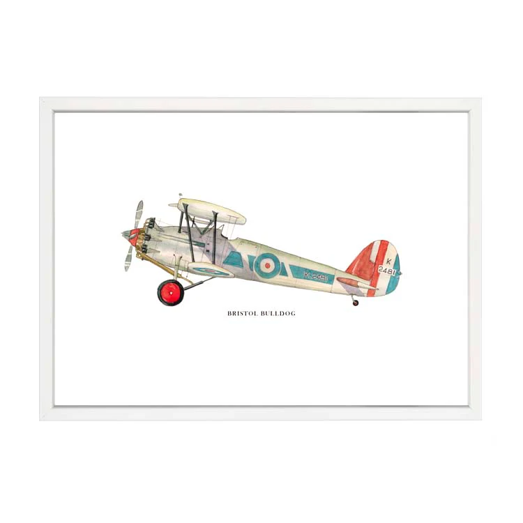 BRISTOL BULLDOG AEROPLANE PRINT - Image 15