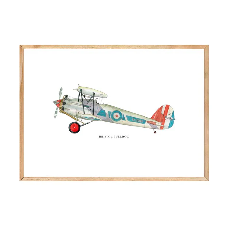 BRISTOL BULLDOG AEROPLANE PRINT - Image 18
