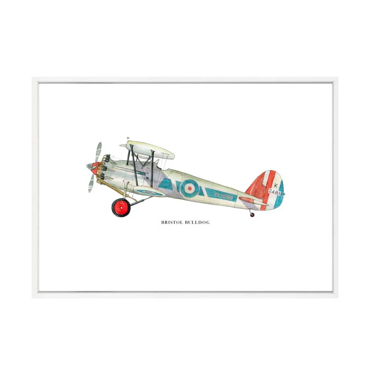 BRISTOL BULLDOG AEROPLANE PRINT - Image 21