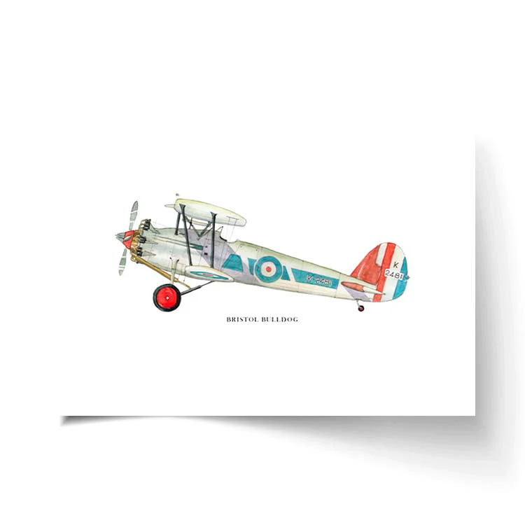 BRISTOL BULLDOG AEROPLANE PRINT - Image 22