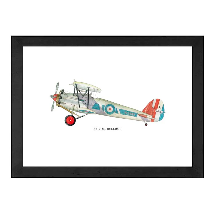 BRISTOL BULLDOG AEROPLANE PRINT - Image 8