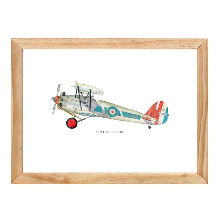 BRISTOL BULLDOG AEROPLANE PRINT - Image 9