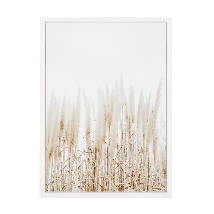 PAMPAS PRINT - Image 11