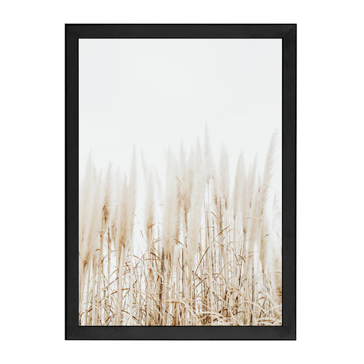 PAMPAS PRINT - Image 12