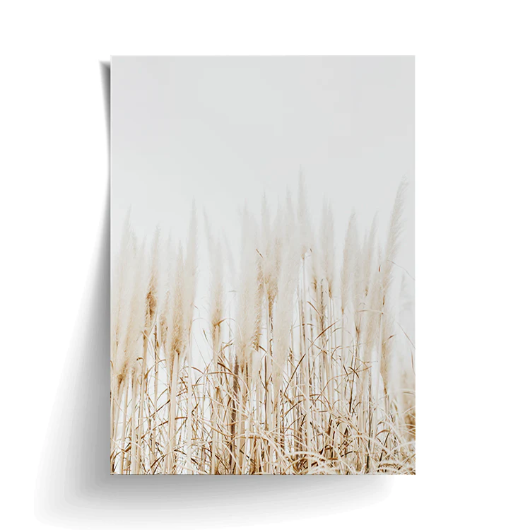 PAMPAS PRINT - Image 17