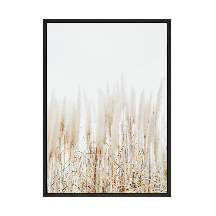 PAMPAS PRINT - Image 3
