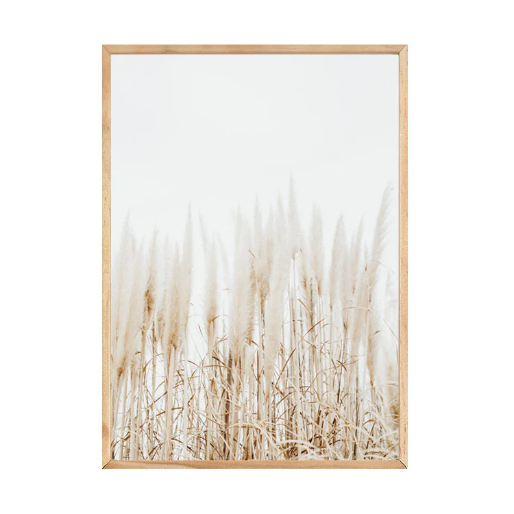 PAMPAS PRINT - Image 4