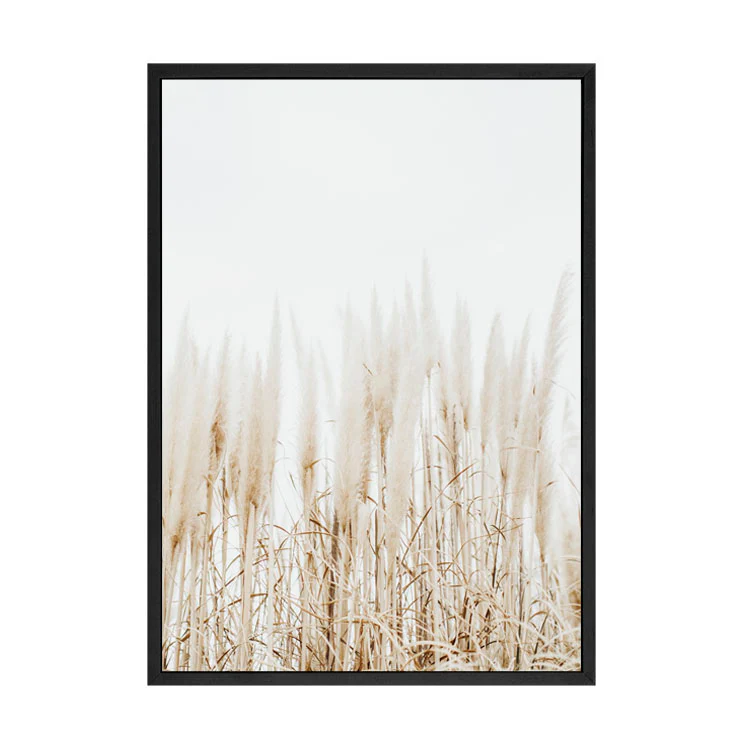 PAMPAS PRINT - Image 6