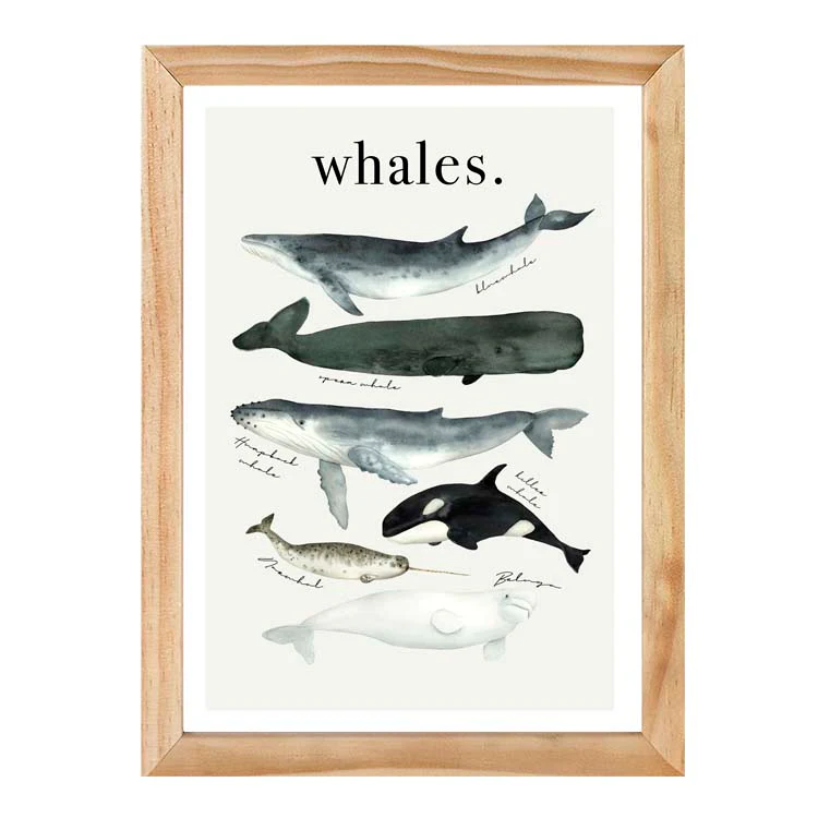 WATERCOLOUR WHALES PRINT - Image 10
