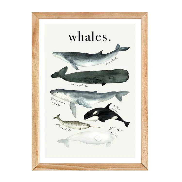 WATERCOLOUR WHALES PRINT - Image 13