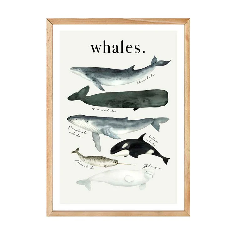 WATERCOLOUR WHALES PRINT - Image 16