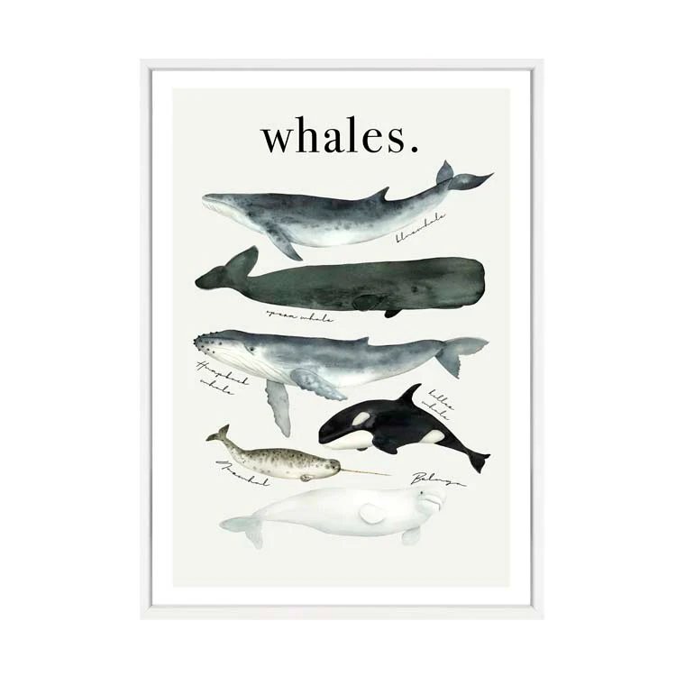 WATERCOLOUR WHALES PRINT - Image 18