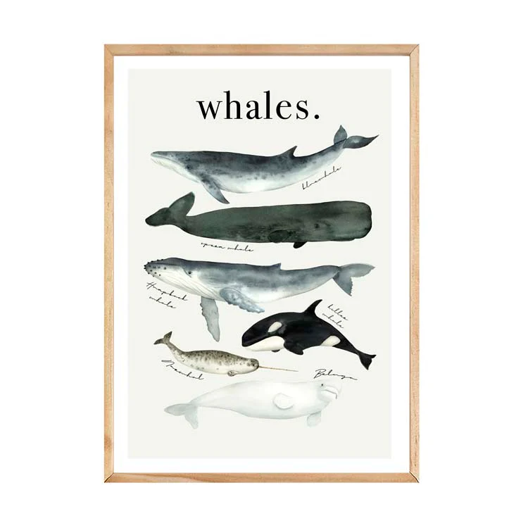 WATERCOLOUR WHALES PRINT - Image 19