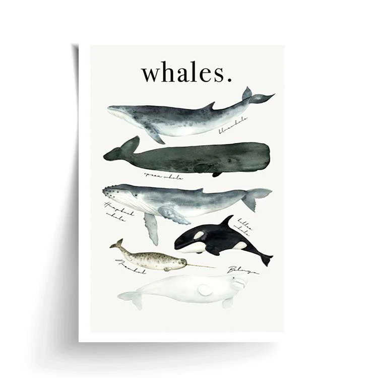 WATERCOLOUR WHALES PRINT - Image 20