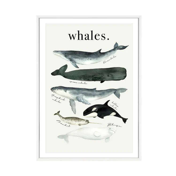 WATERCOLOUR WHALES PRINT - Image 9