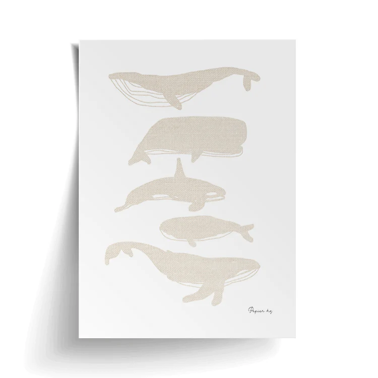 WHALES PRINT - Image 14