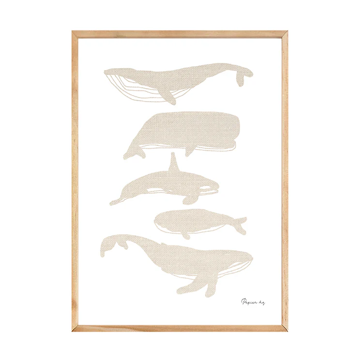 WHALES PRINT - Image 4